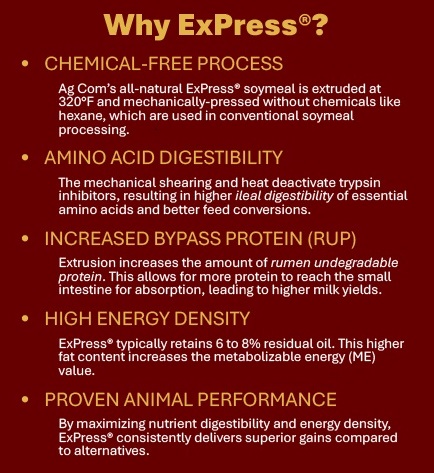 Why ExPress?